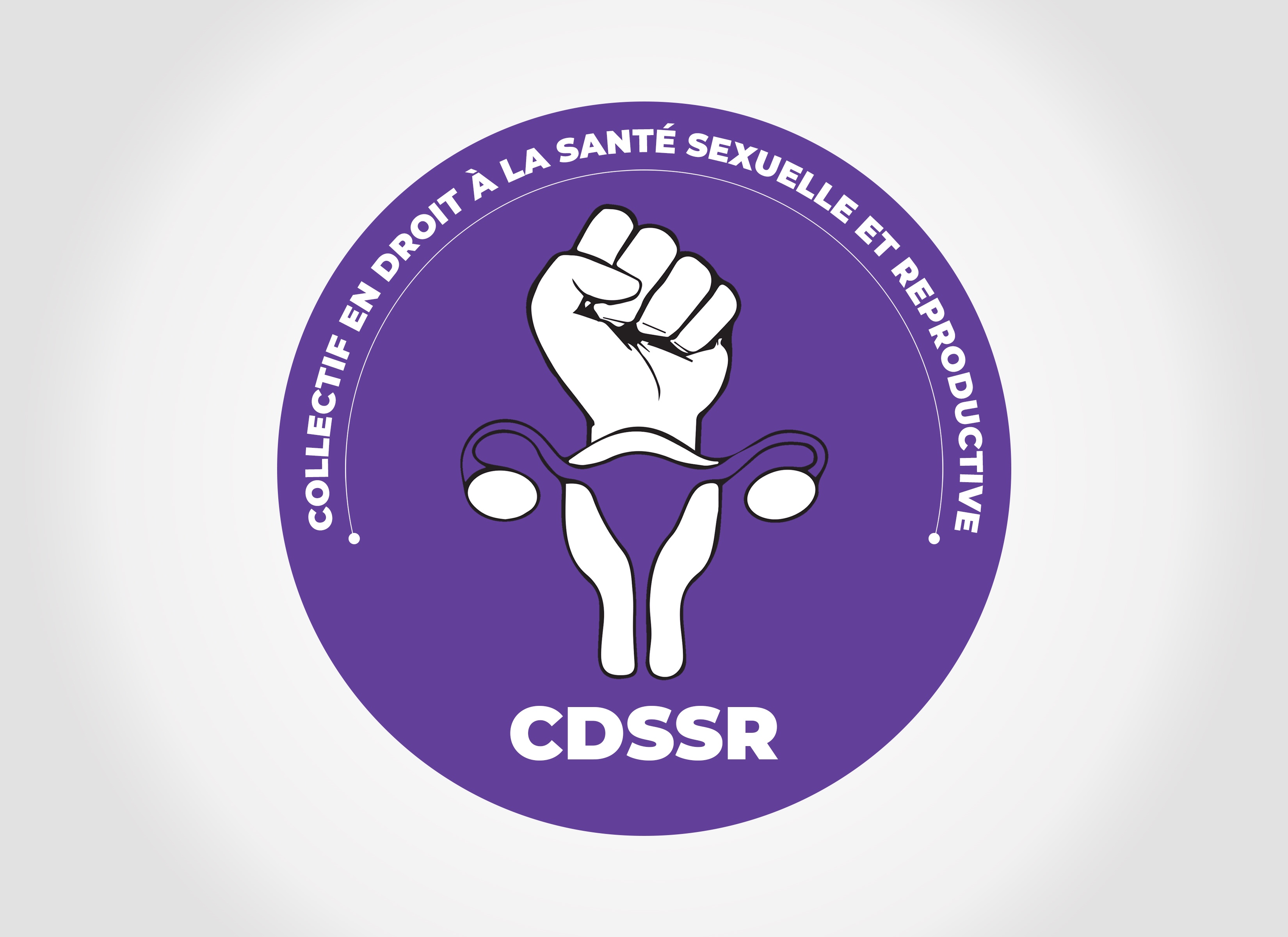Note de positionnement du collectif DSSR sur le respect du droit à l’Éducation Sexuelle.
